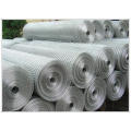 Welded Wire Mesh Panel or Roll